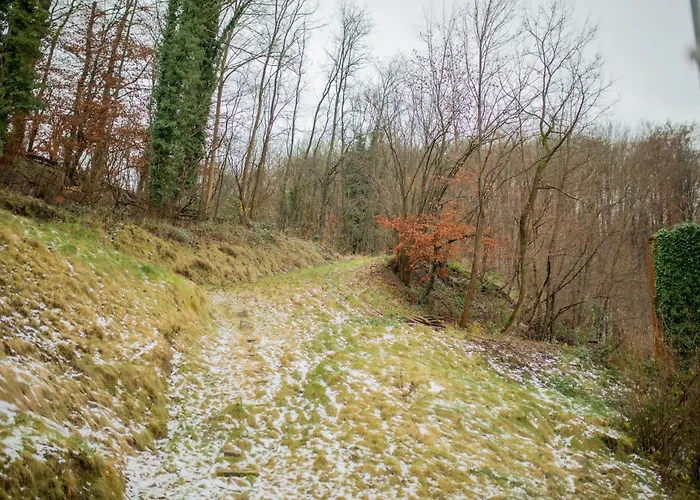 Nyaraló Hugos Design House Am Waldrand - Ruhig & Modern